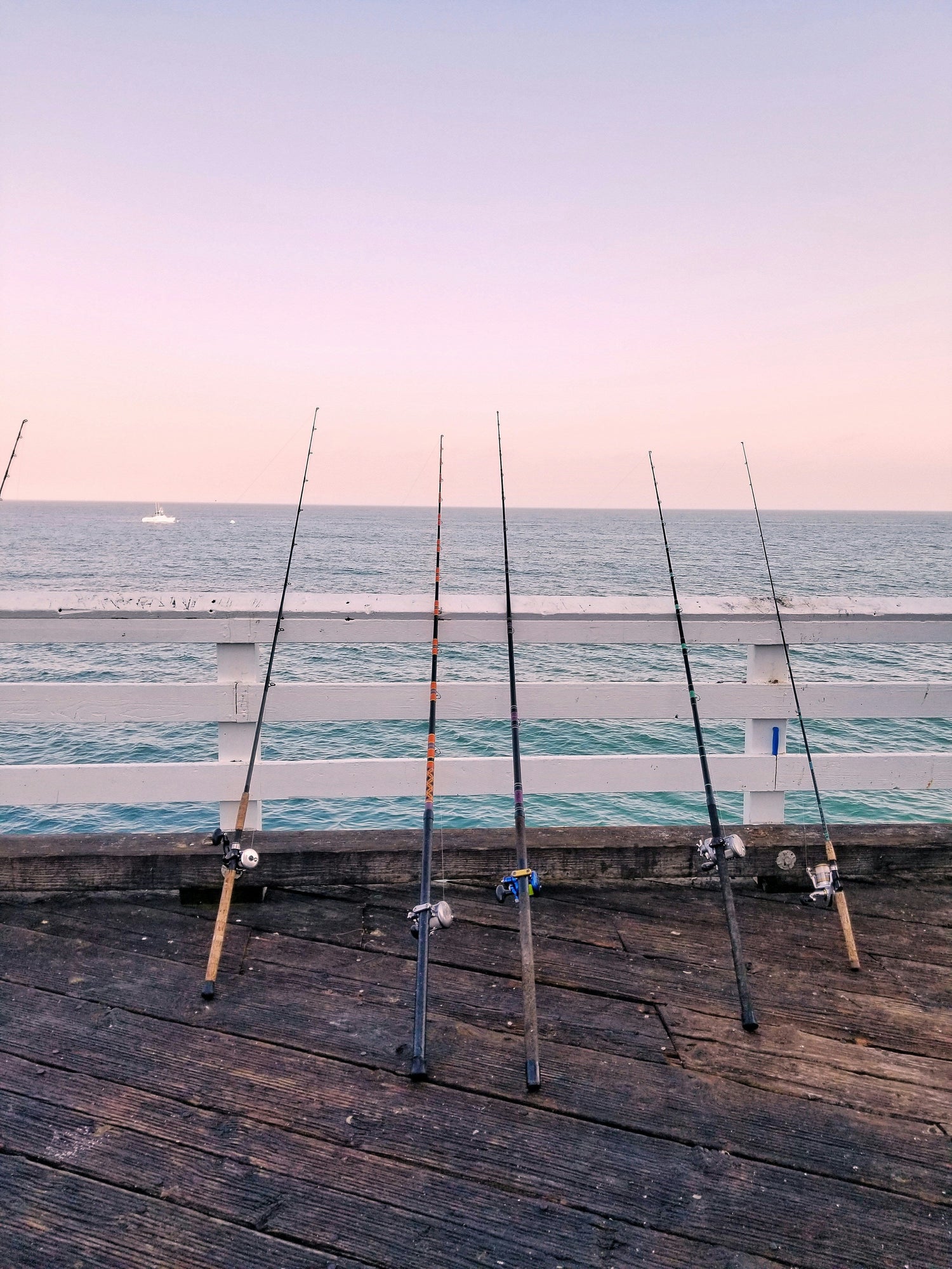 Fishing Rod