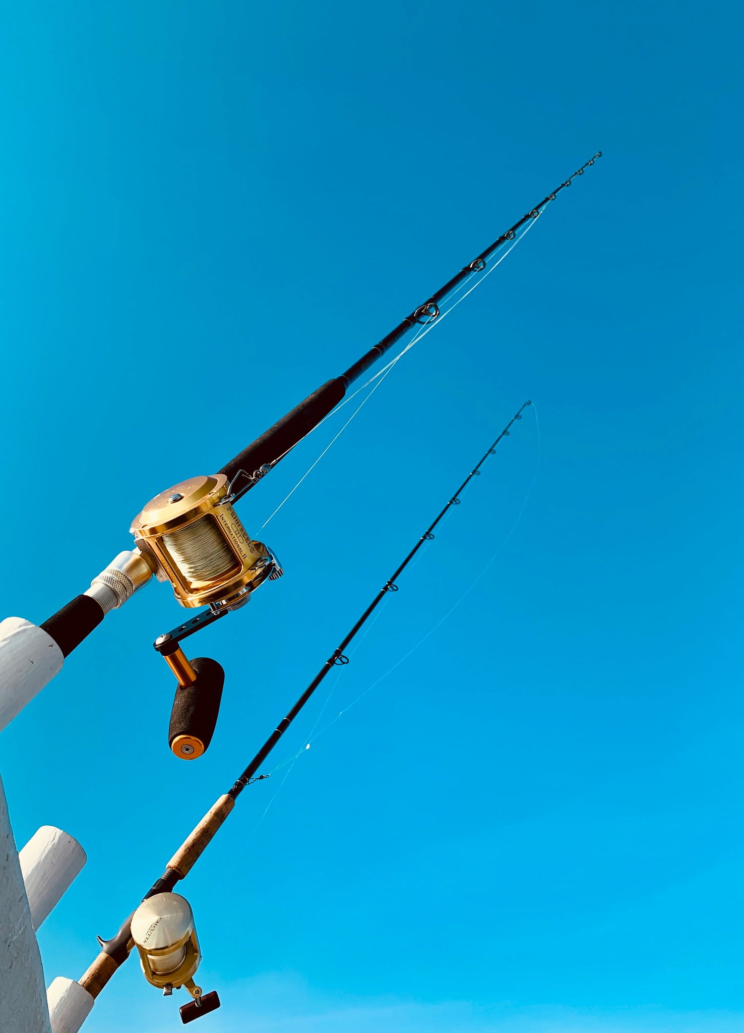 Fishing Reel